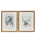 Pair of Vintage Bird & Botanical Giclees