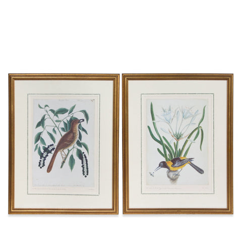 Pair of Vintage Bird & Botanical Giclees